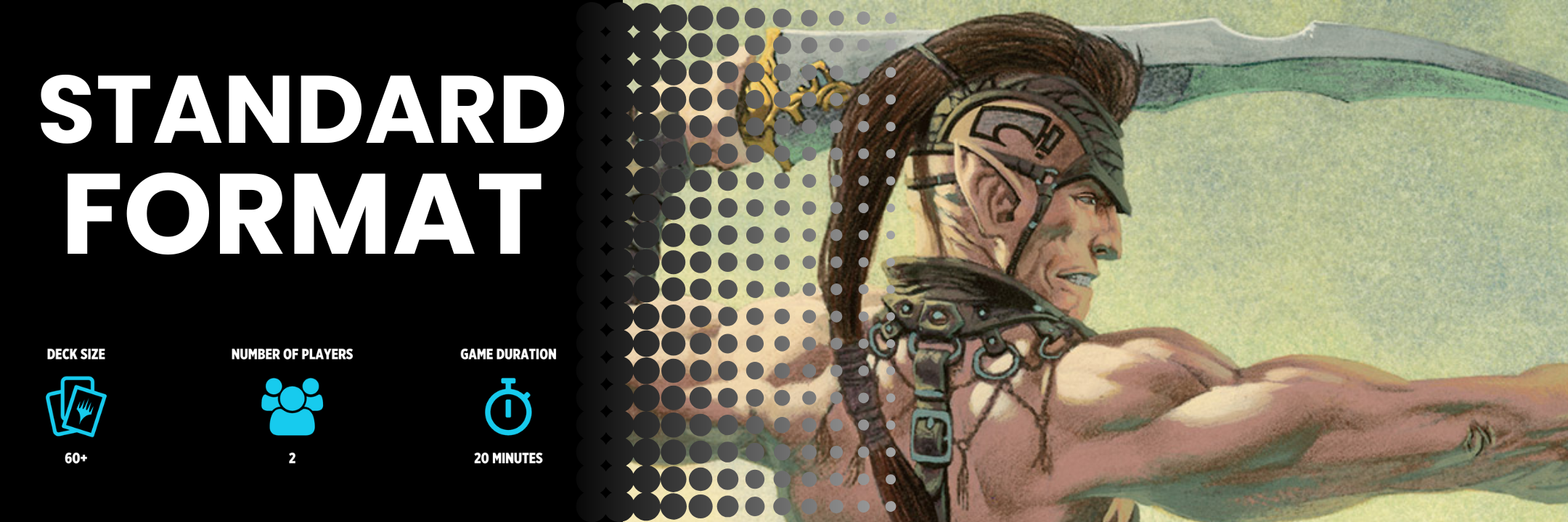 Standard Format Banner