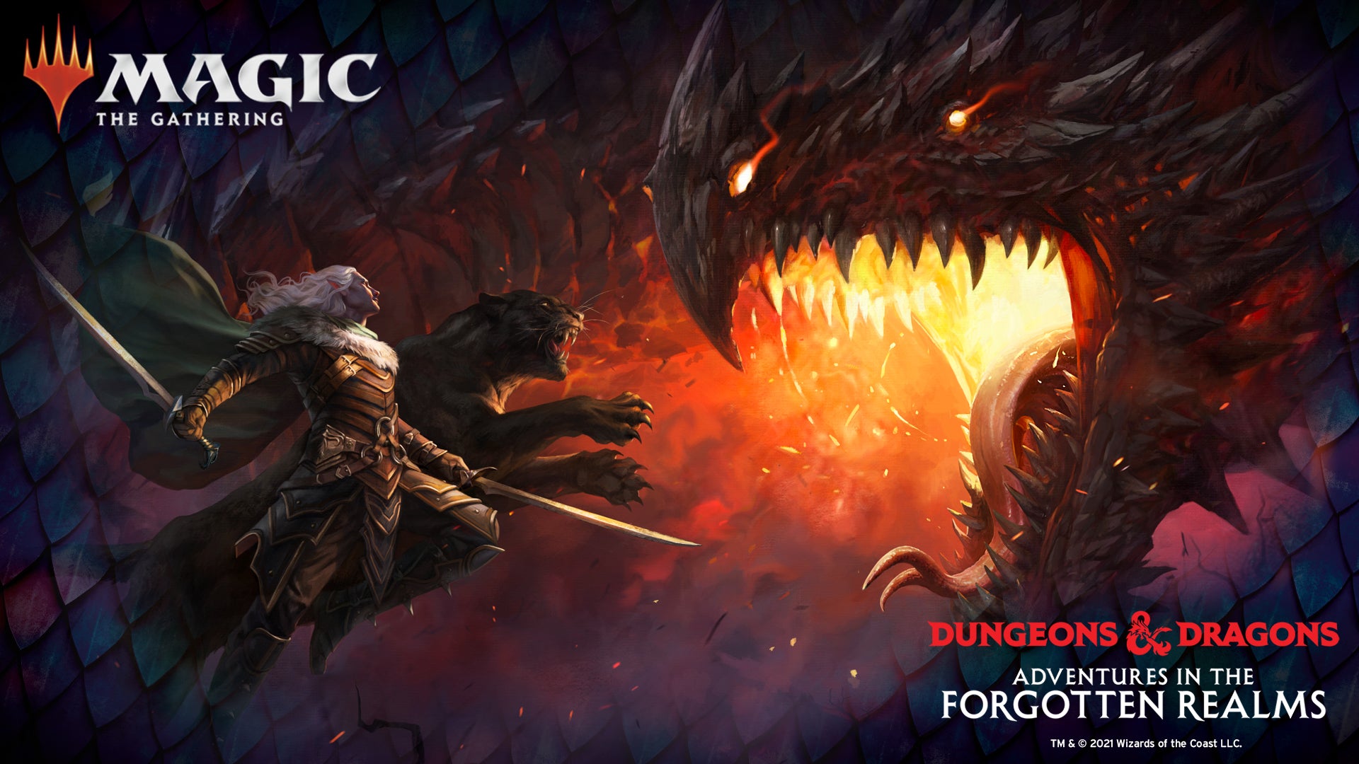 Magic: D&D Adventures in the Forgotten Realm