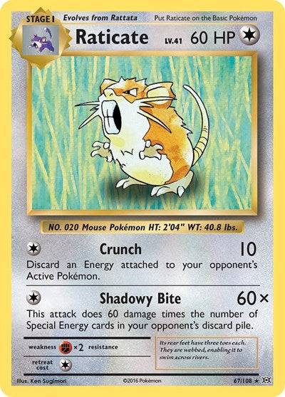 EVO: Raticate