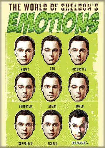 Big Bang Theory World of Sheldon's Emotions Magnet