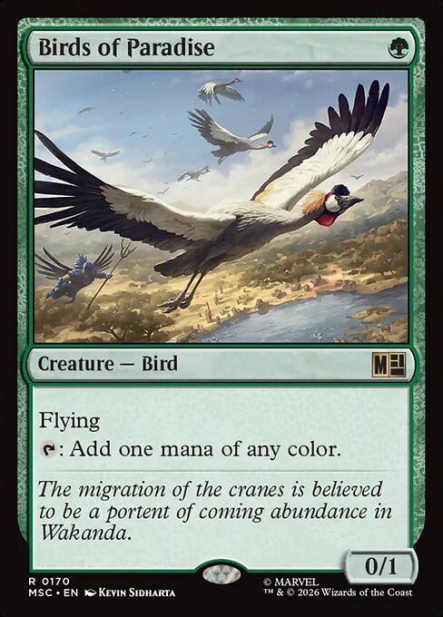 MSC: Birds of Paradise