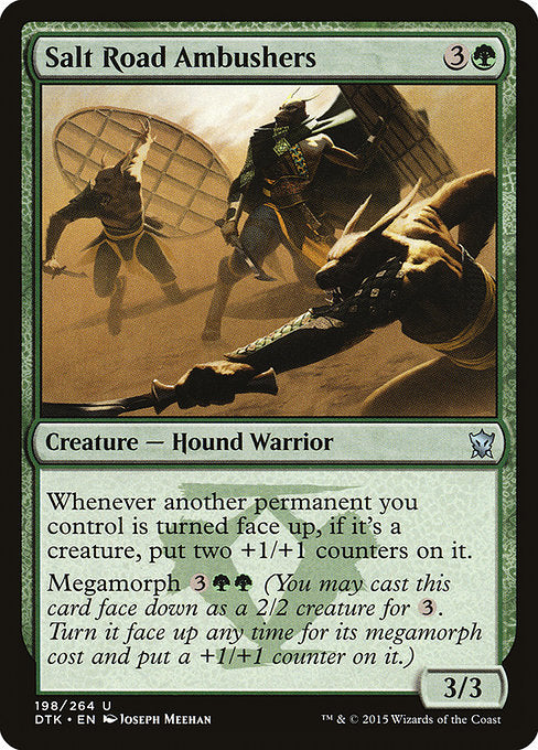 DTK: Salt Road Ambushers