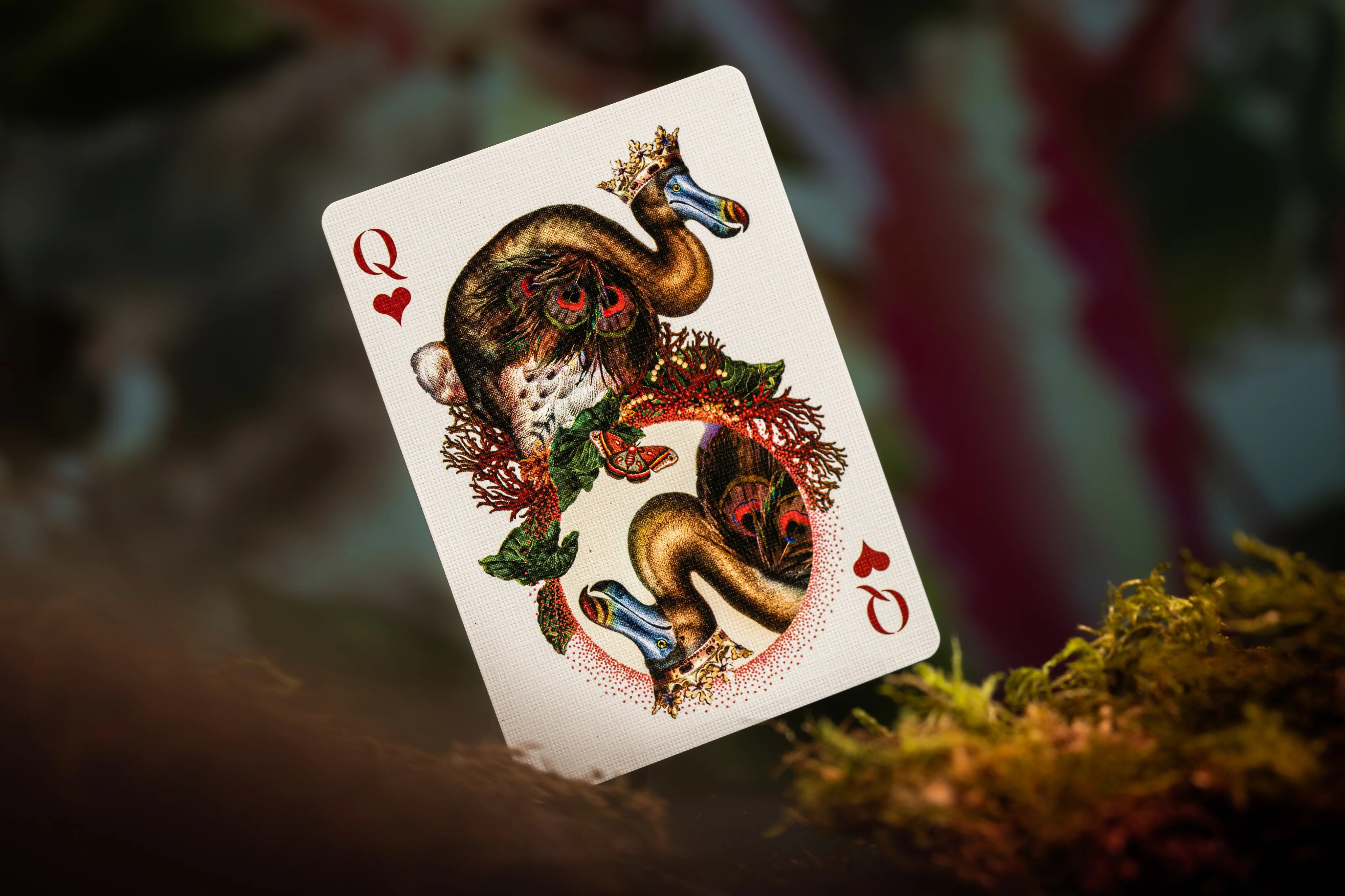 theory11 Playing Cards: Extinct Animal by Moooi