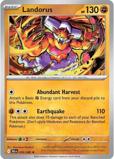 BLK: Landorus (Holofoil)