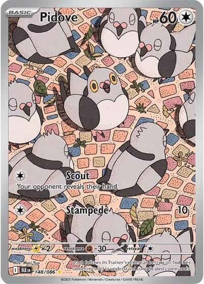 BLK: Pidove - 148/086 (Holofoil)