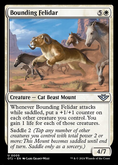 OTJ: Bounding Felidar