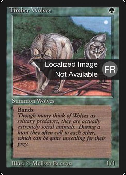 FBB: Timber Wolves