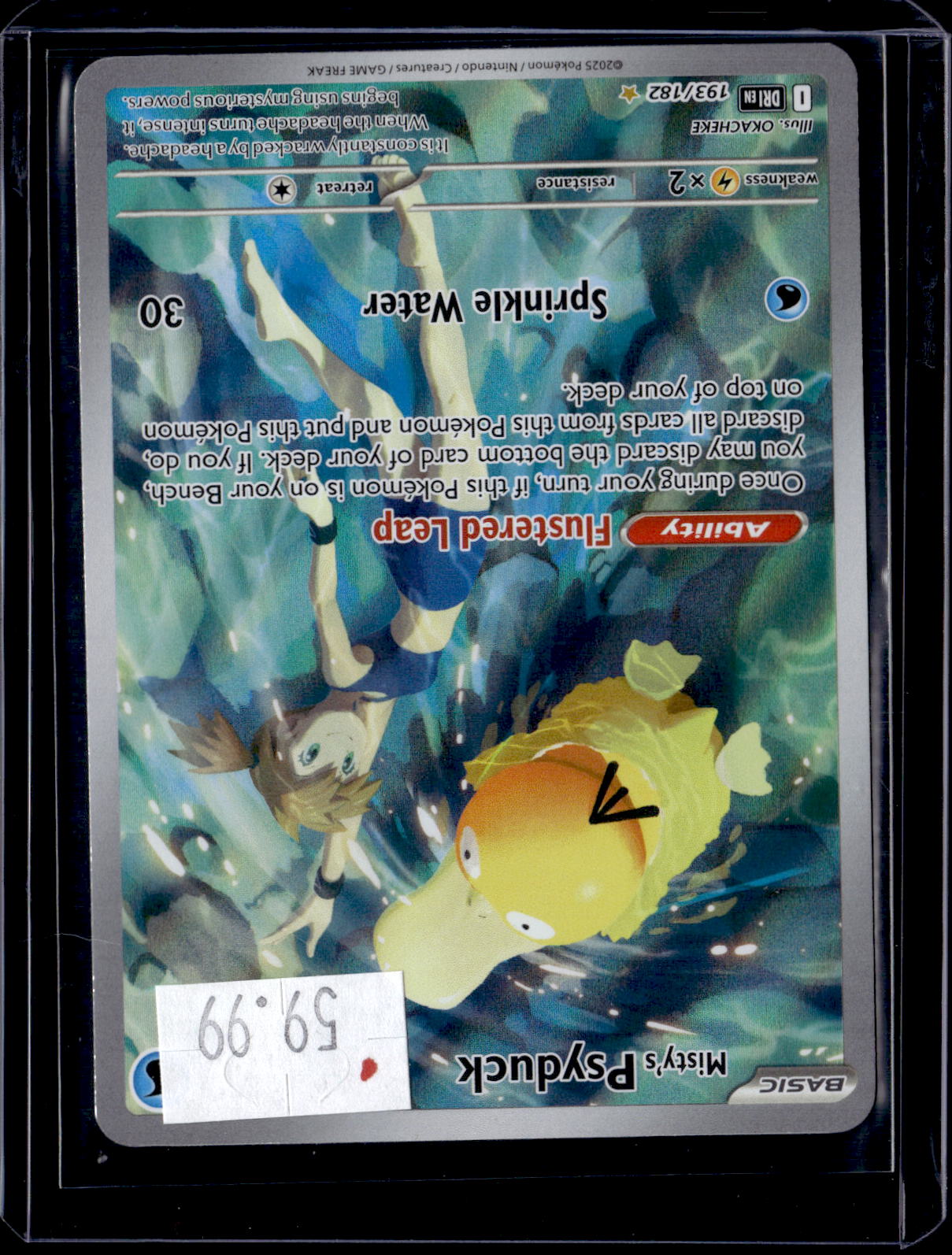 PGCD - 335
