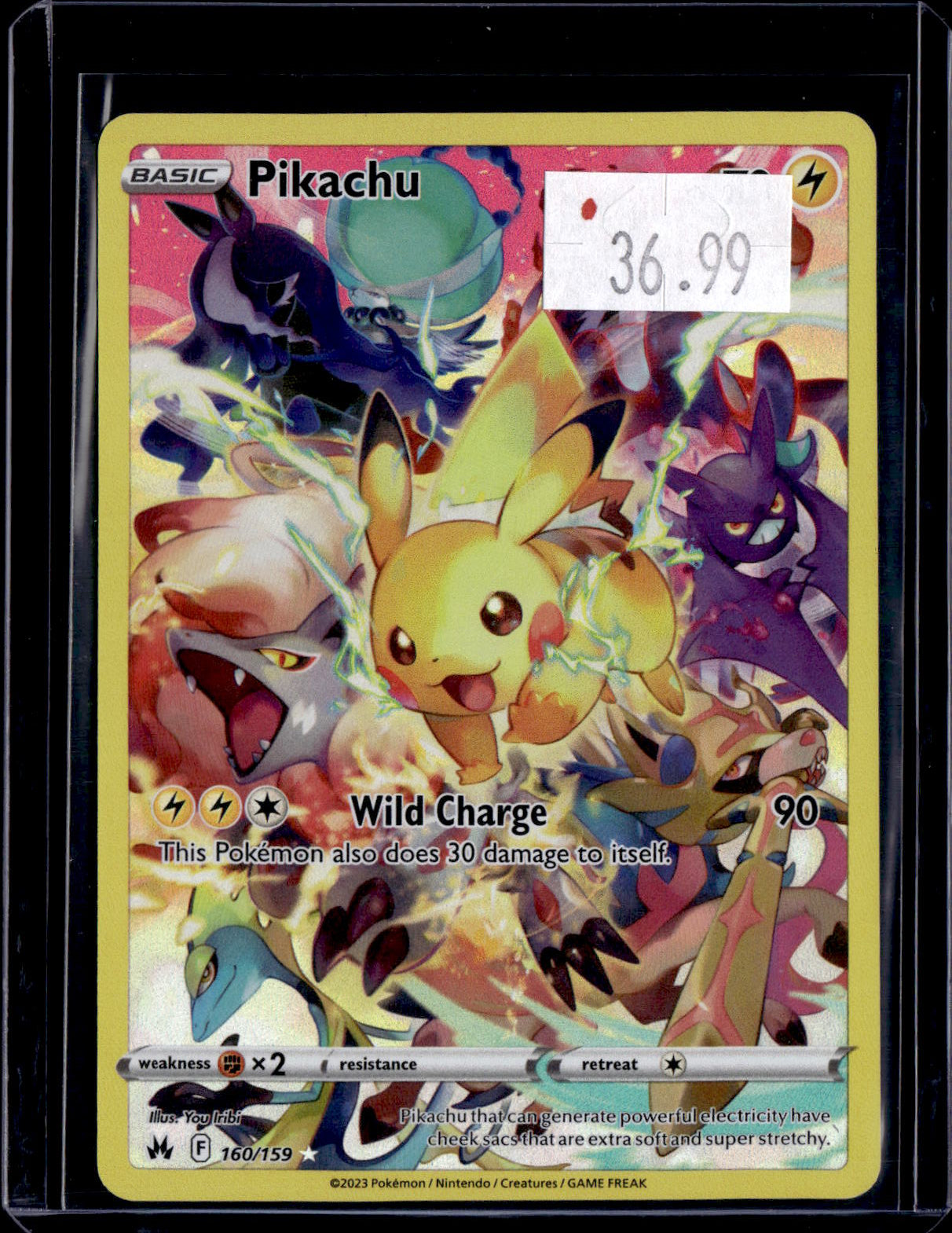 PGCD - 337