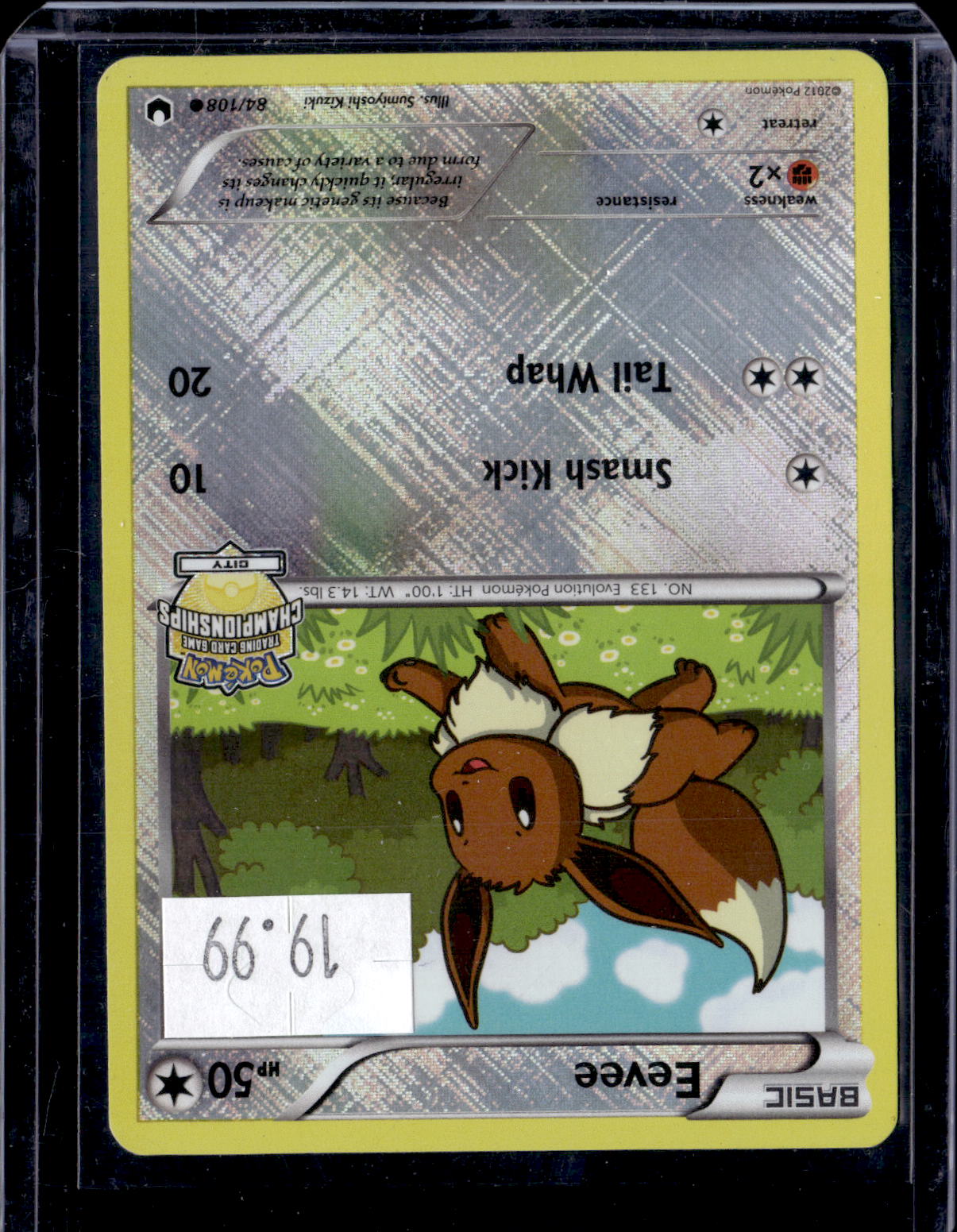 PKKD - 2541