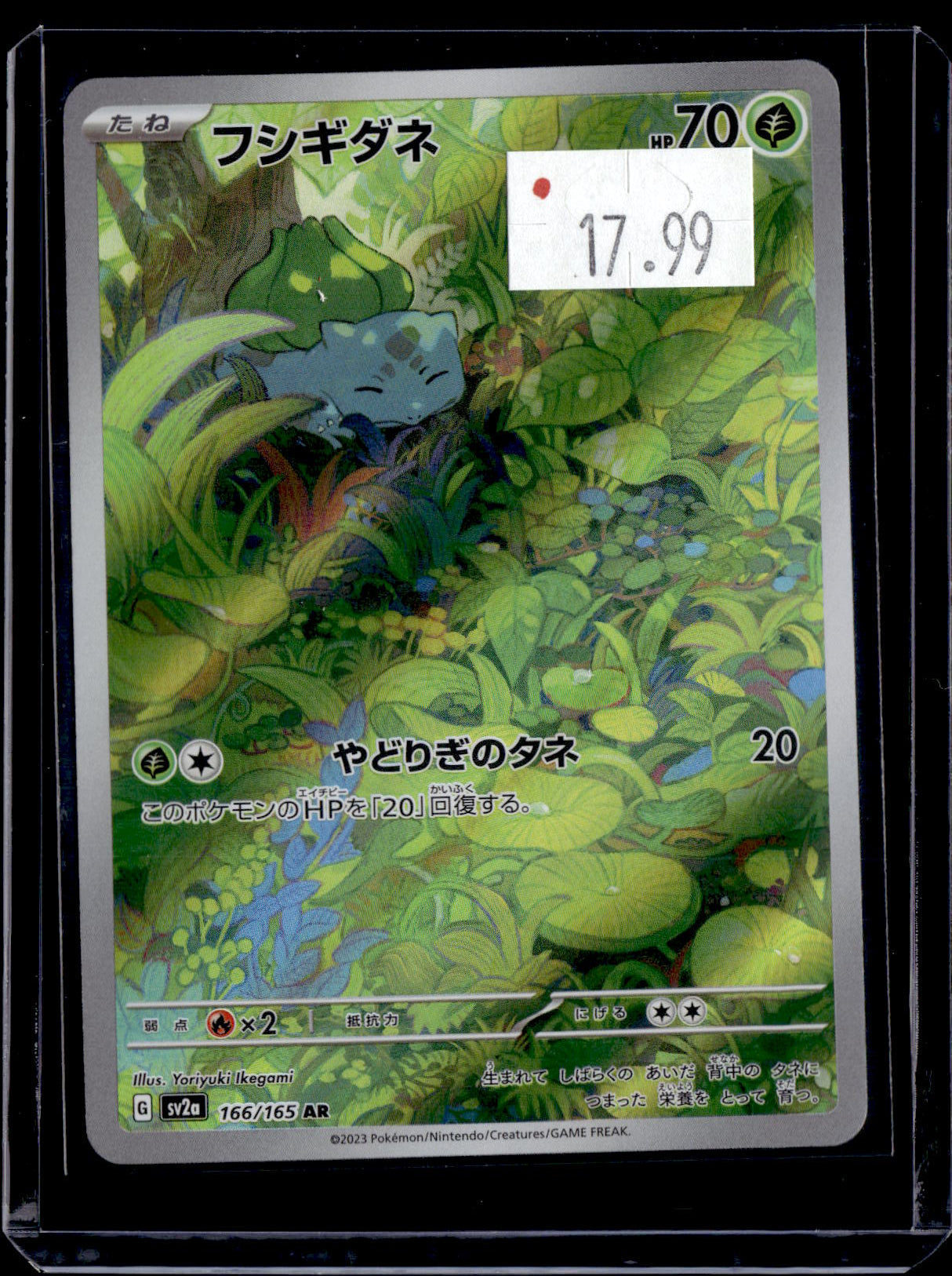 PKKD - 2782