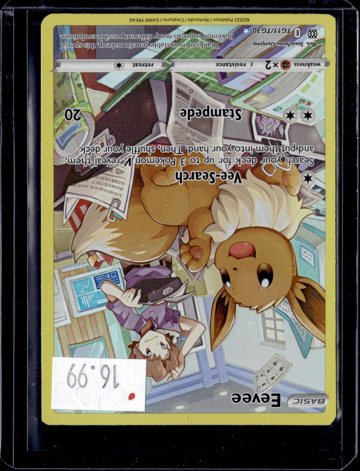 PKKD - 4206