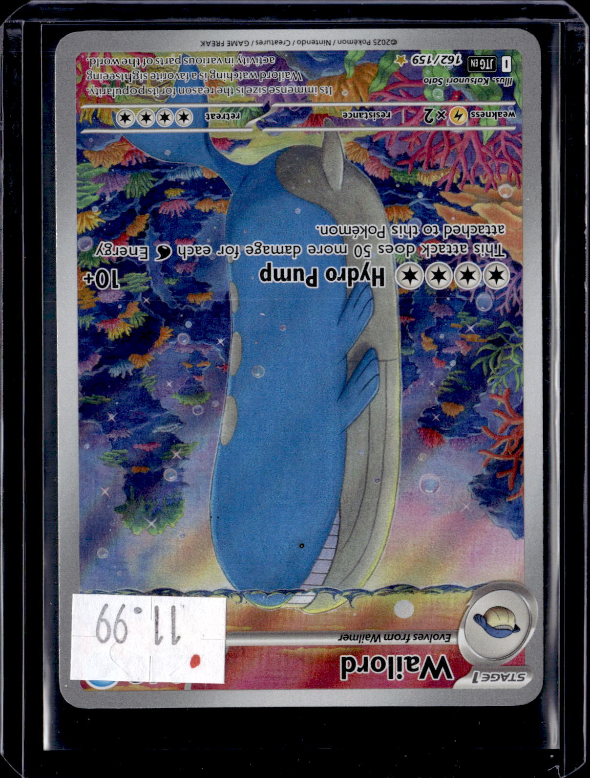 PKKD - 4244