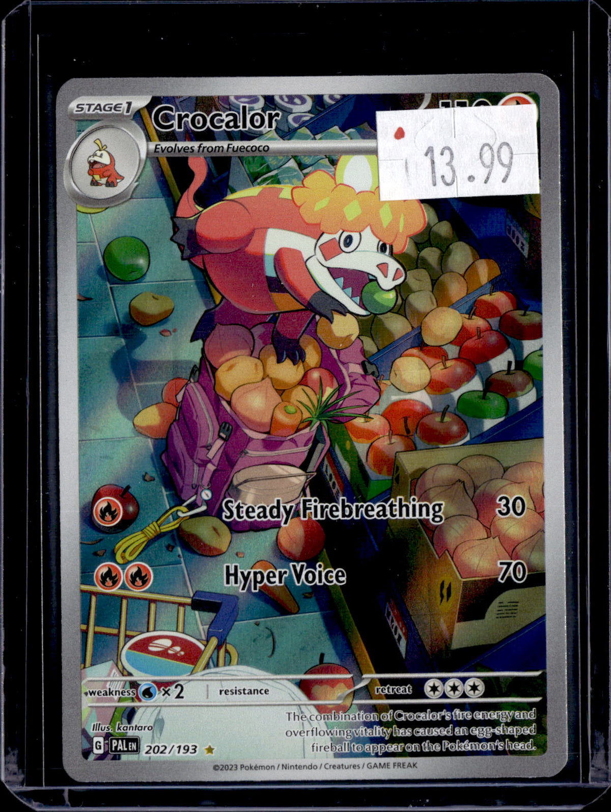 PKKD - 4802