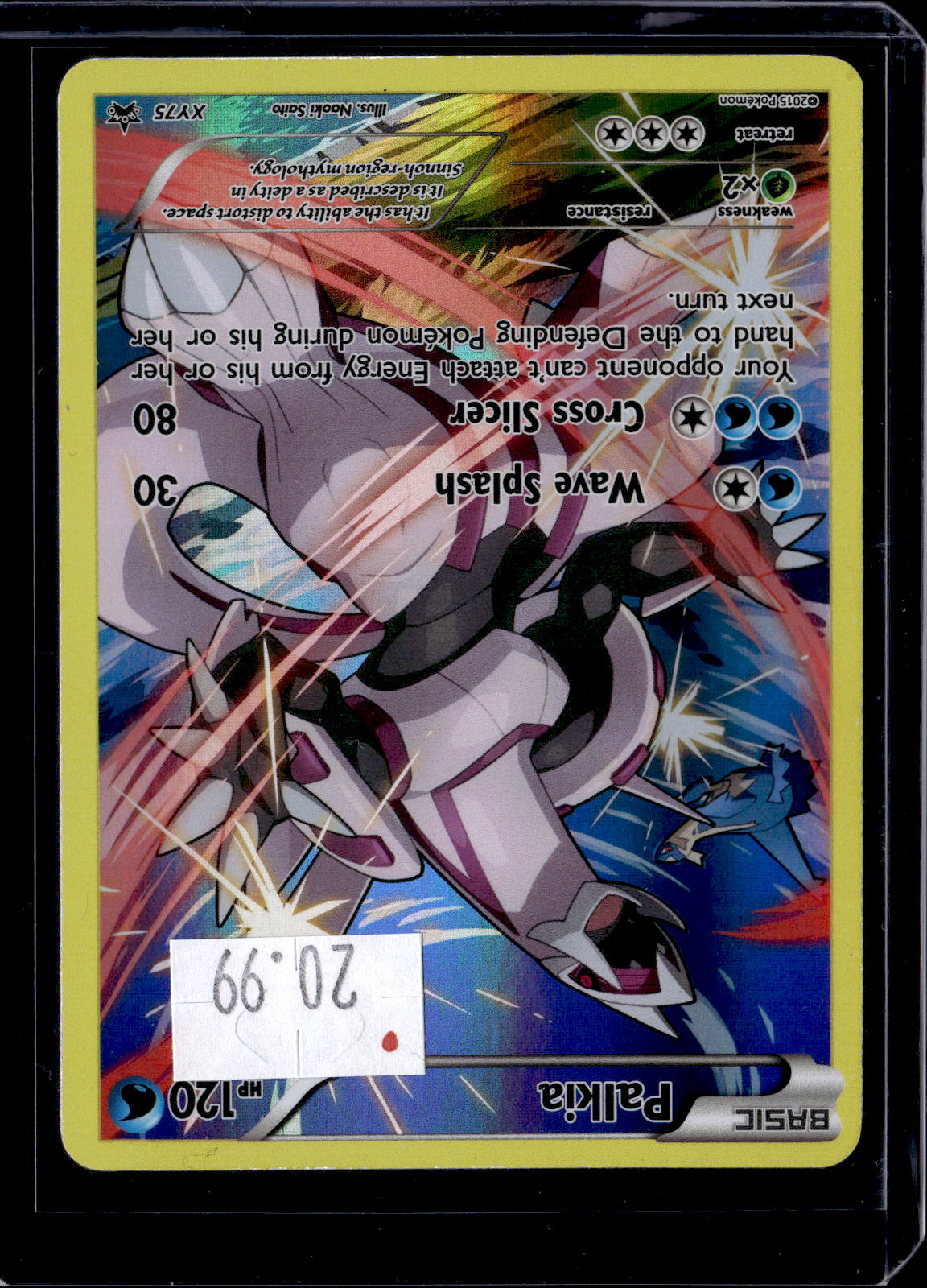 PKKD - 581