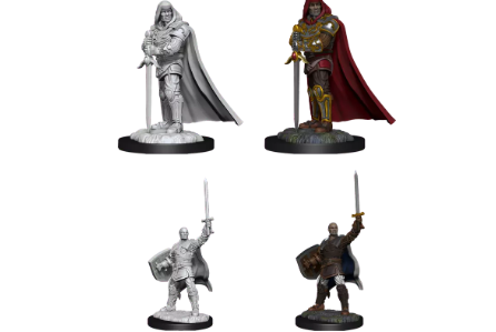 D&D Nolzur's Marvelous Unpainted Miniatures: Human Male Paladin V3