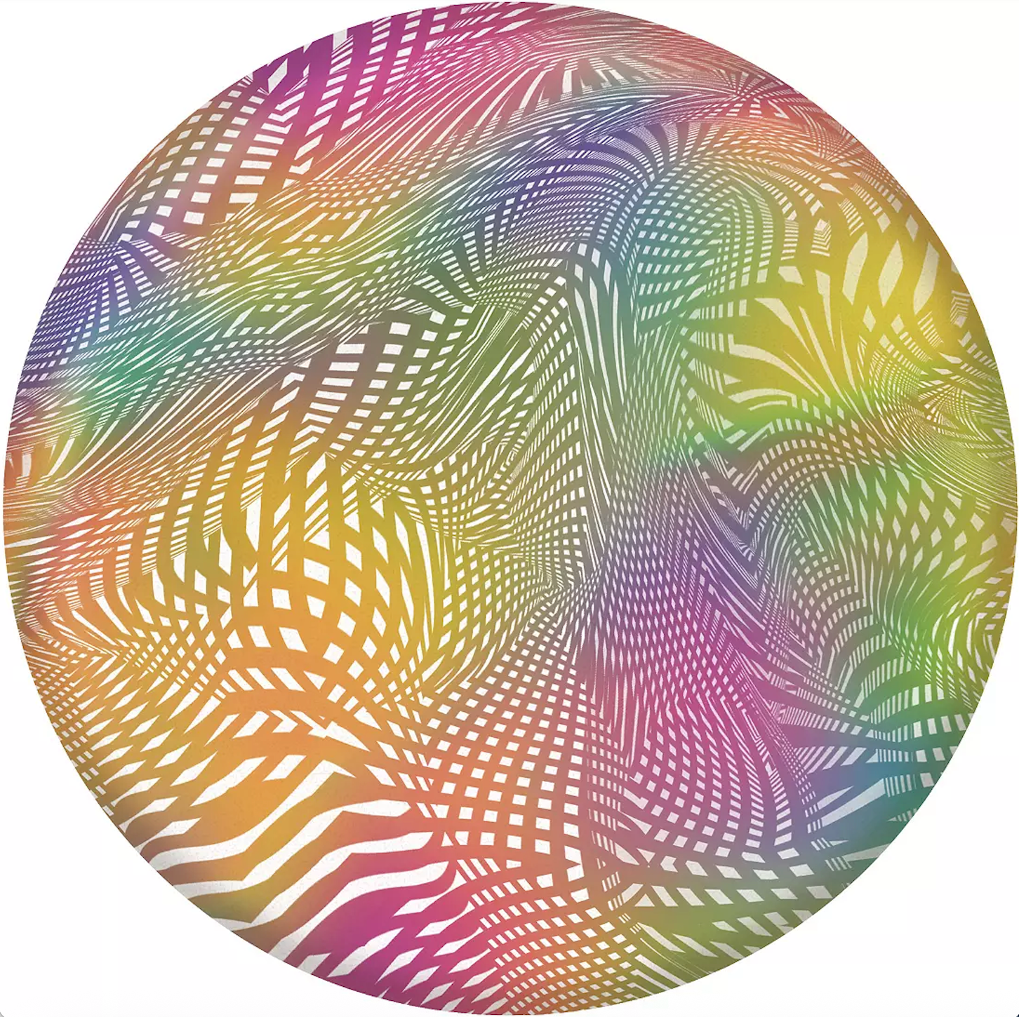 Wingman Disc (Assorted Graphics)