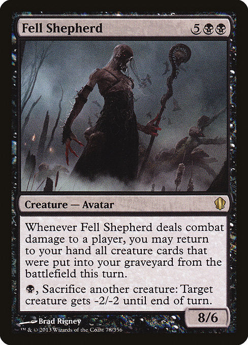 C13: Fell Shepherd