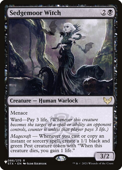 PLST: Sedgemoor Witch
