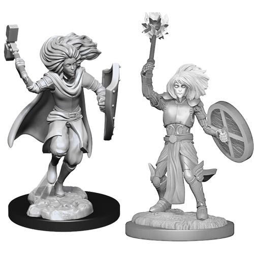 D&D Nolzur's Marvelous Unpainted Miniatures: Changeling Cleric