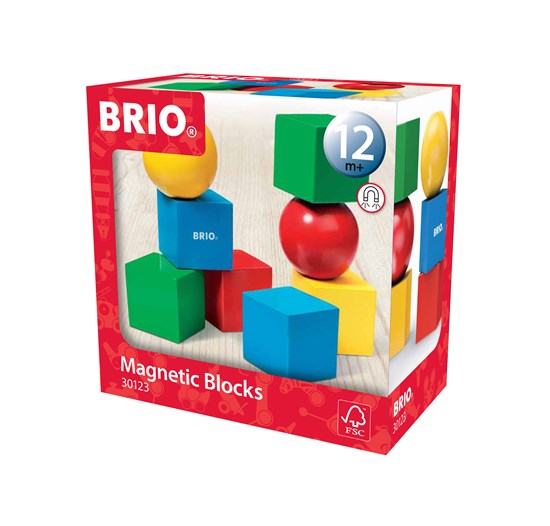 Magnetic Blocks