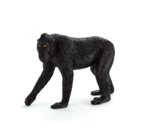Mojo Animals: Black Crested Macaque