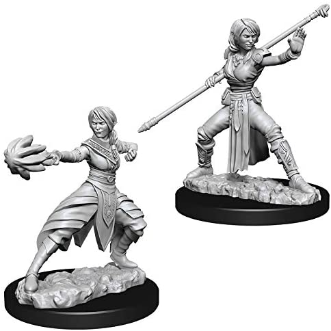 D&D Nolzur's Marvelous Unpainted Miniatures: W10 Half-Elf Female Monk