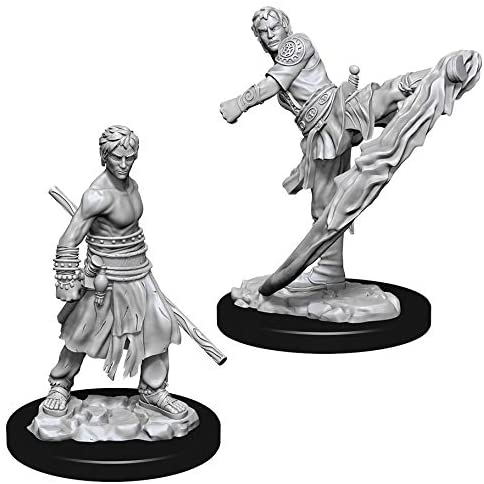 D&D Nolzur's Marvelous Unpainted Miniatures: W10 Half-Elf Male Monk