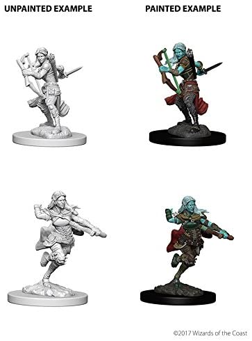 D&D Nolzur's Marvelous Unpainted Miniatures: W4 Air Genasi Rogue