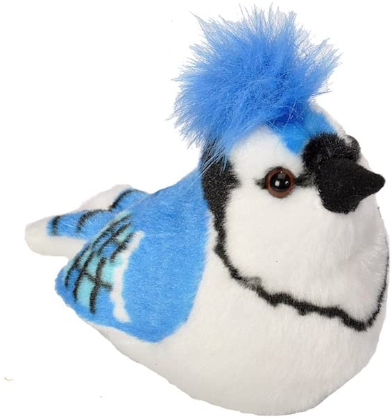Audubon Plush: Blue Jay 5"