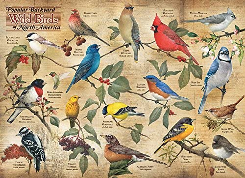 Popular Backyard Wilds Birds of North America (1000 pc puzzle)