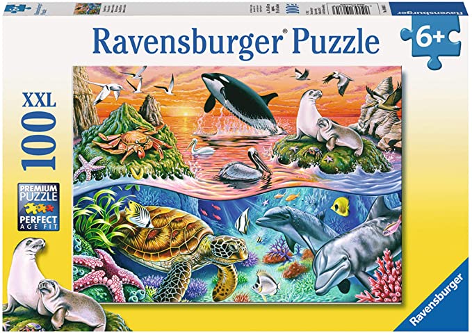 Beautiful Ocean (100 pc puzzle)