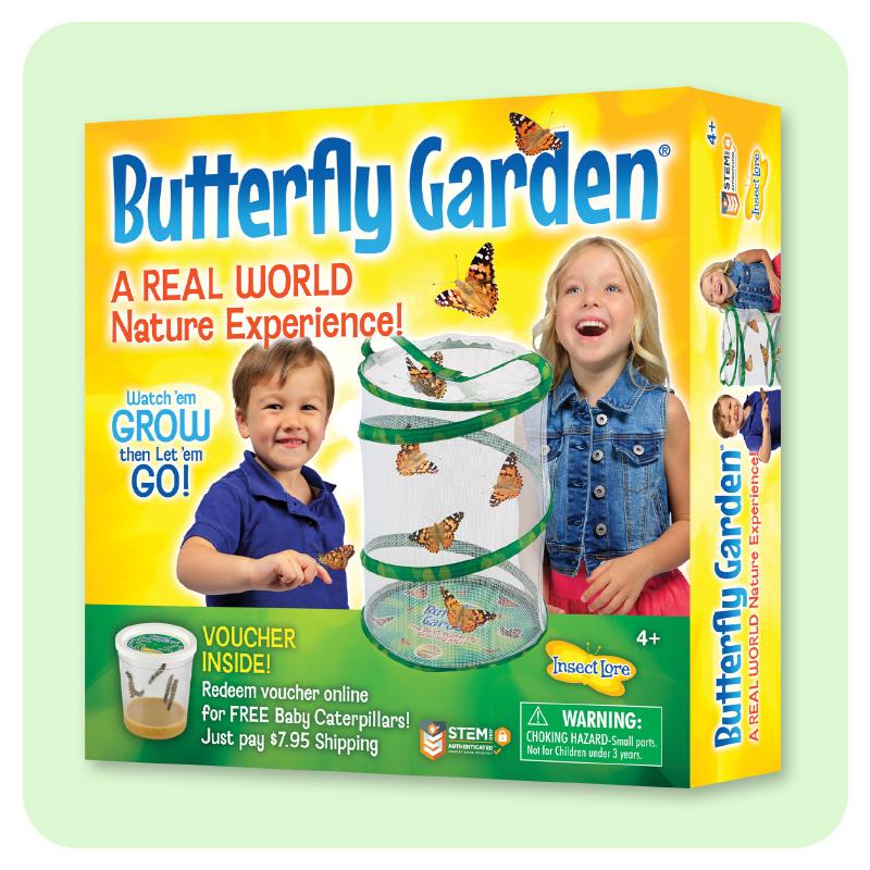Butterfly Garden