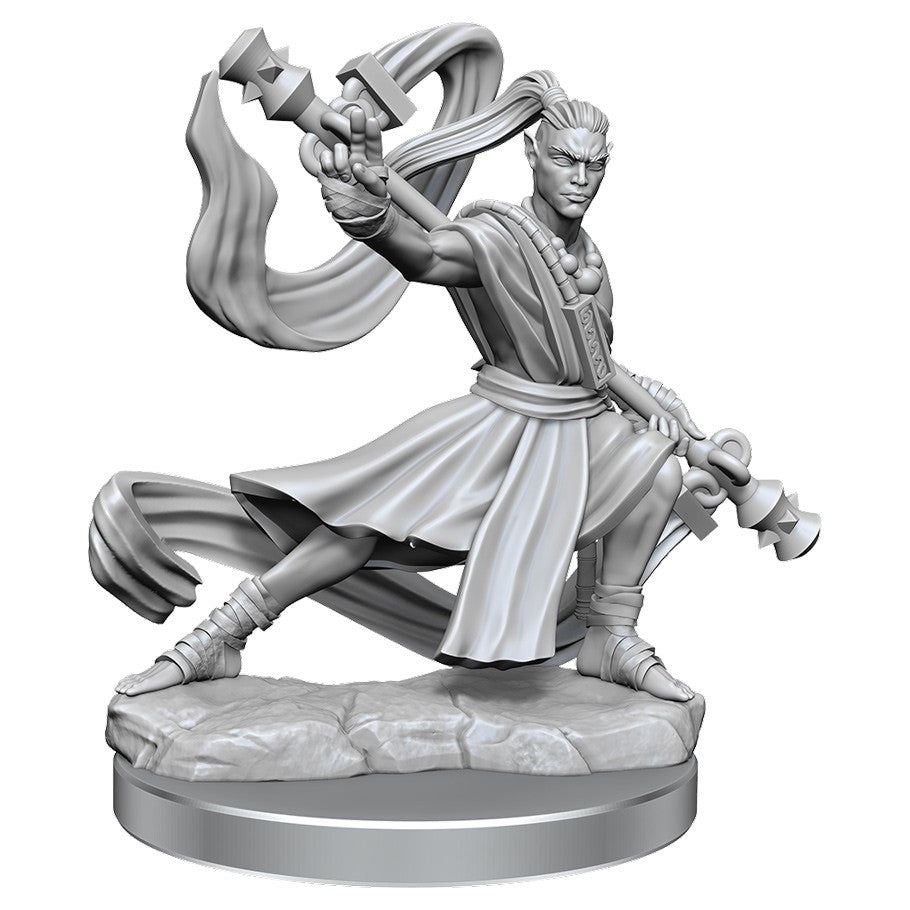 Dungeons & Dragons Frameworks: W1 Elf Monk Male