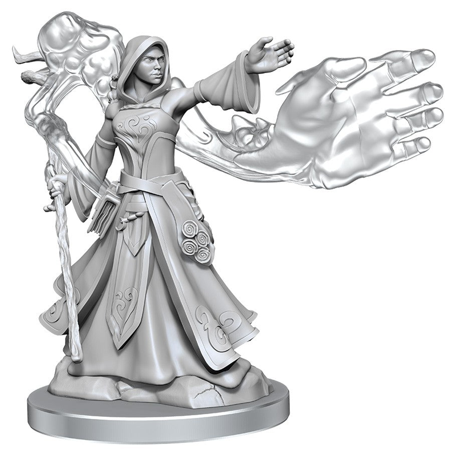 Dungeons & Dragons Frameworks: W1 Elf Wizard Female