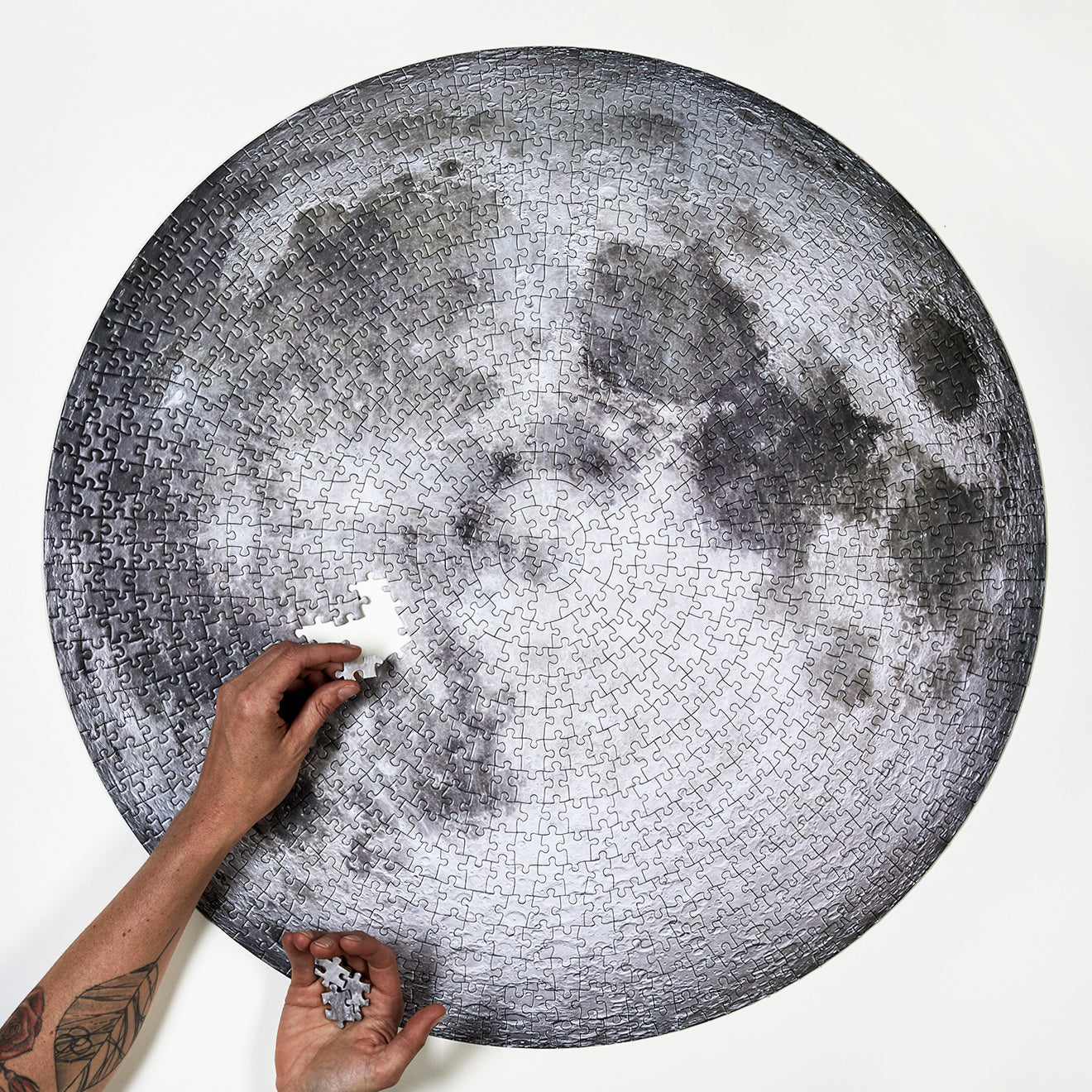 The Moon (1000 pc puzzle)