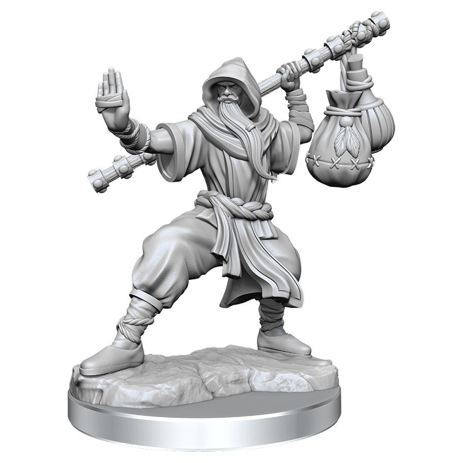 Dungeons & Dragons Frameworks: W1 Human Monk Male