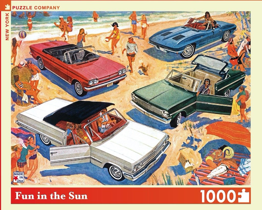 Fun in the Sun (1000 pc puzzle)