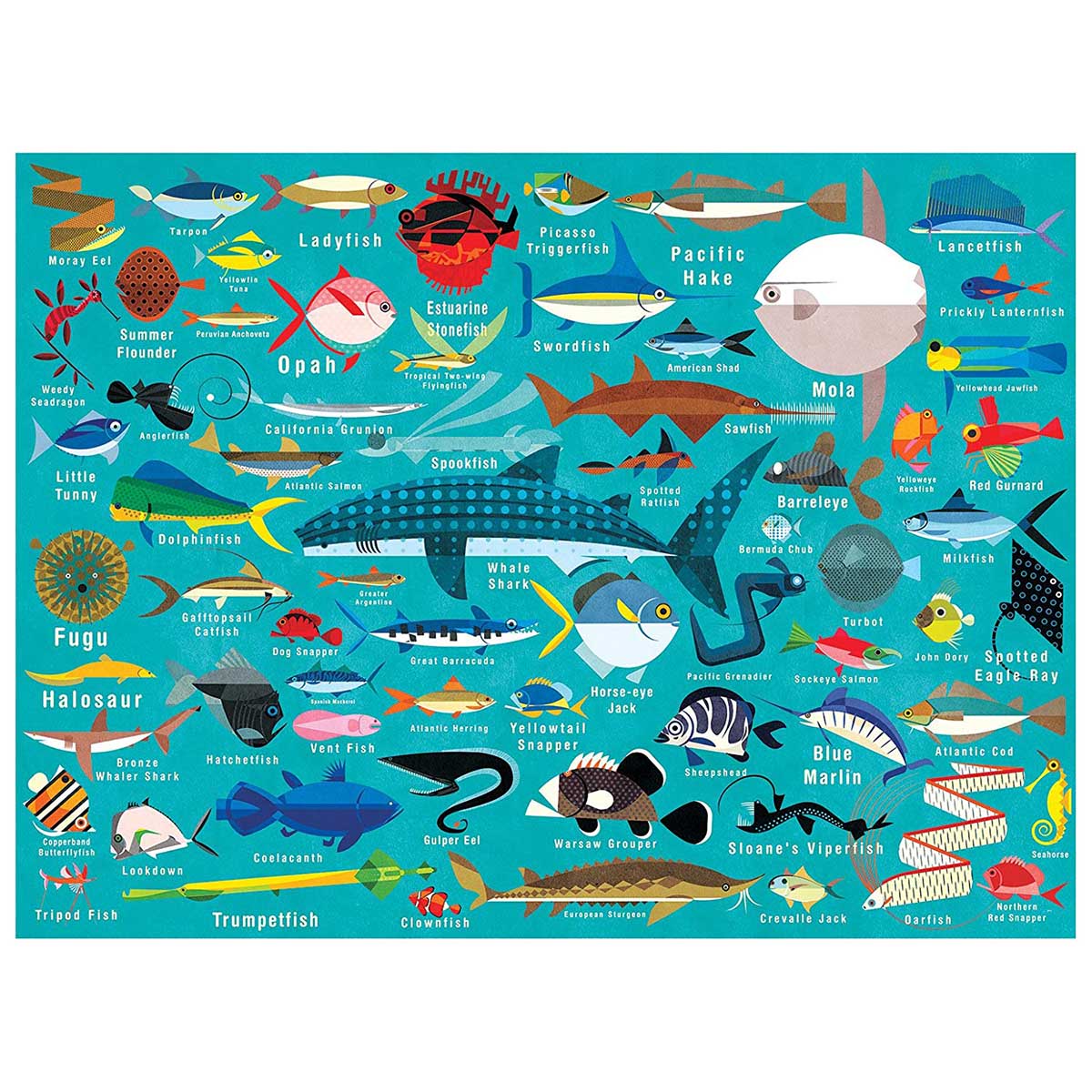 Ocean Life (1000 pc puzzle)