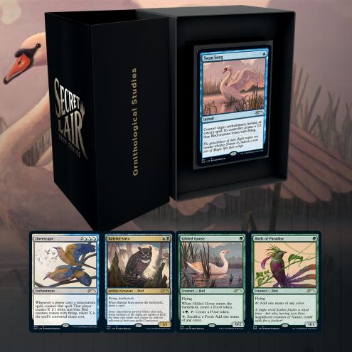 Secret Lair Drop: Summer Superdrop - Ornithological Studies