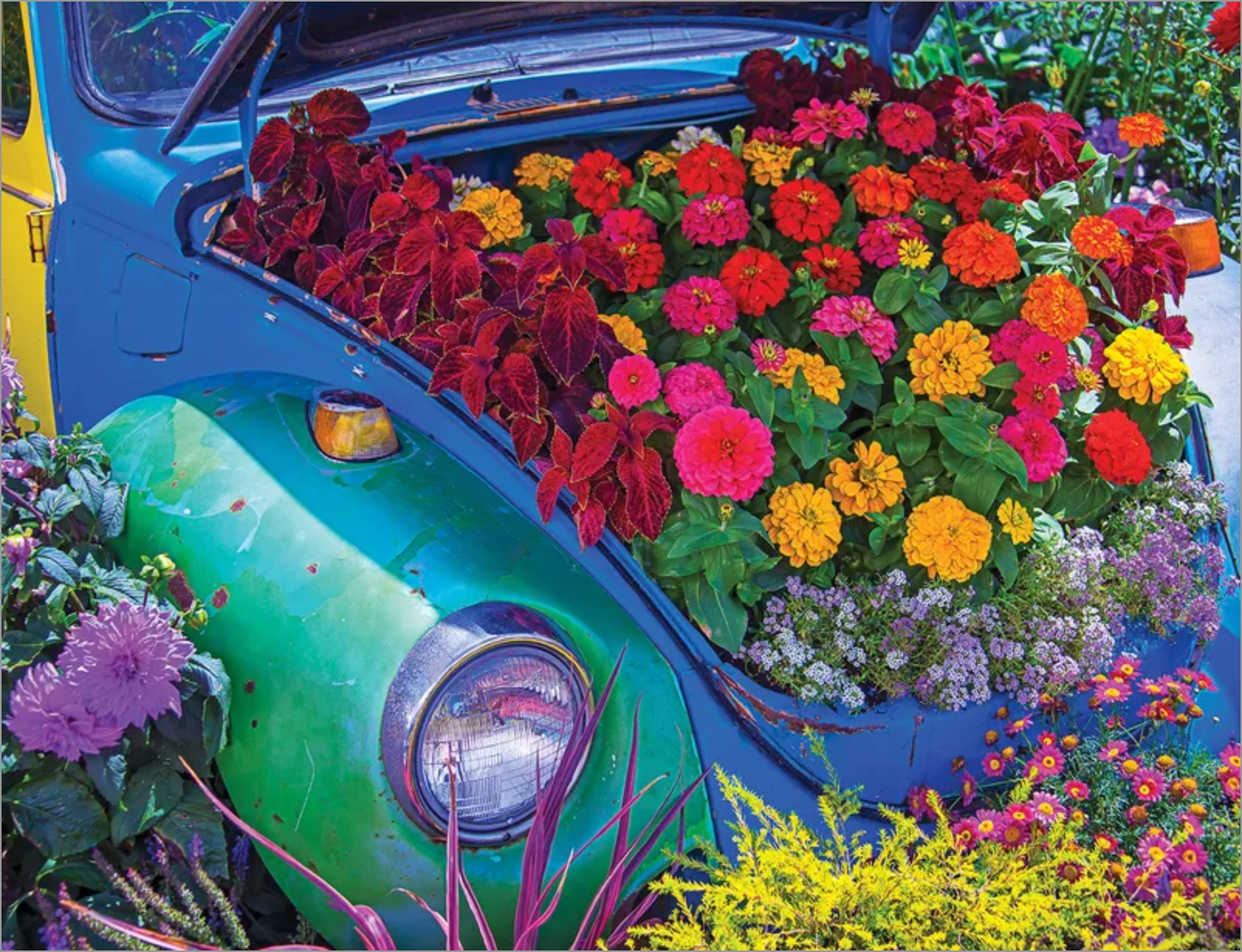 Garden Bug (500 pc puzzle)