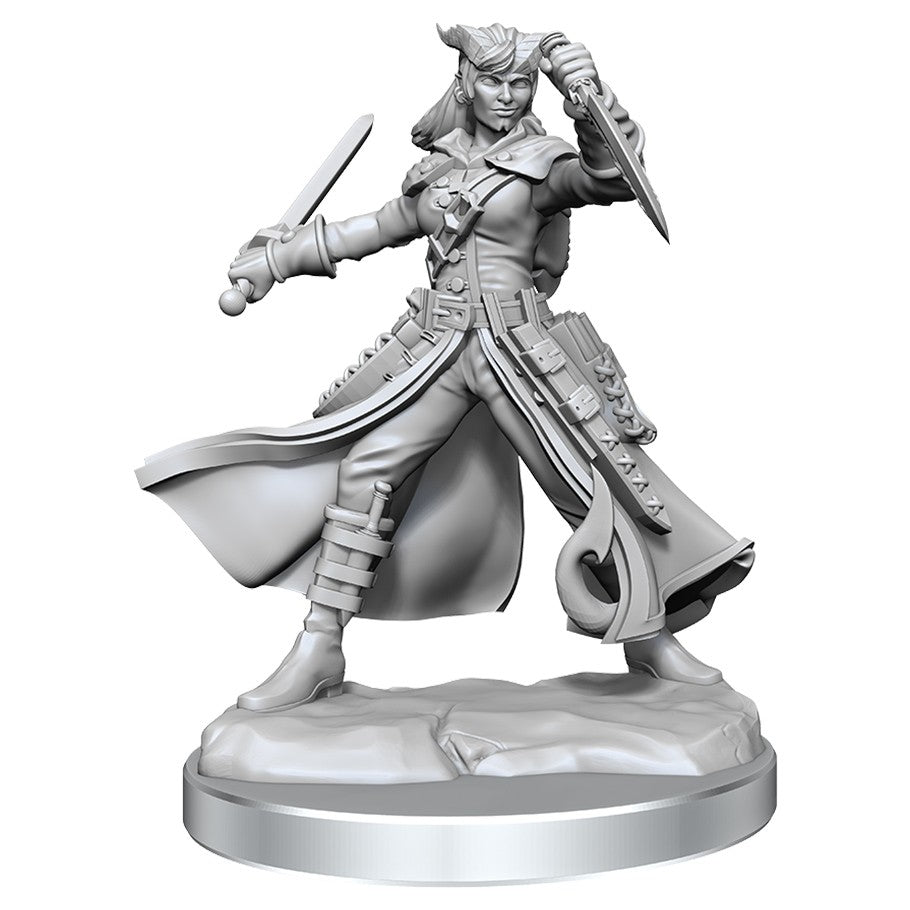 Dungeons & Dragons Frameworks: W1 Tiefling Rogue Female