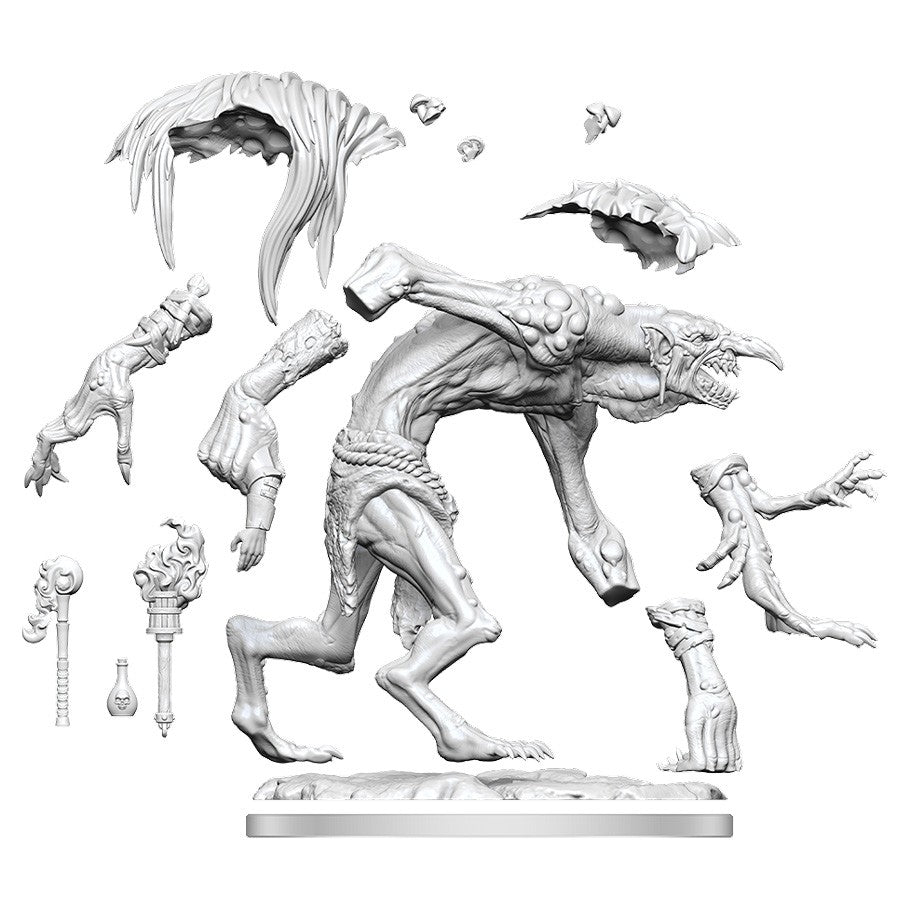 Dungeons & Dragons Frameworks: W1 Troll