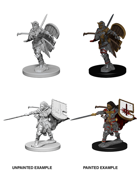 Pathfinder Deep Cuts Unpainted Miniatures: W1 Human Female Paladin