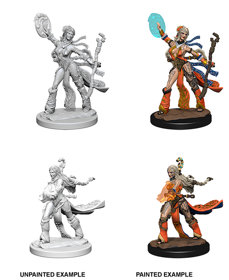 Pathfinder Deep Cuts Unpainted Miniatures: W1 Human Female Sorcerer