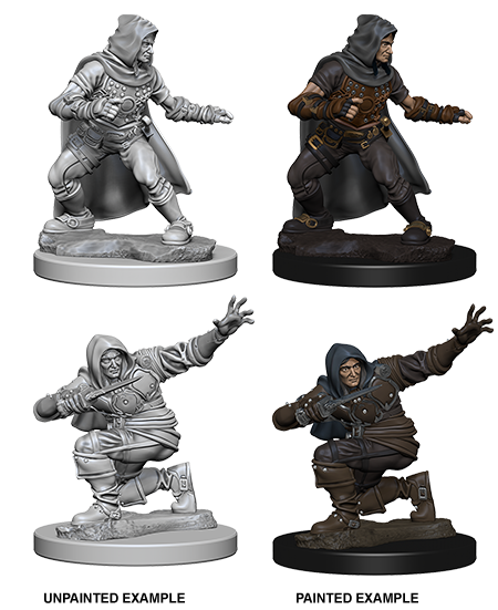 Pathfinder Deep Cuts Unpainted Miniatures: W1 Human Male Rogue