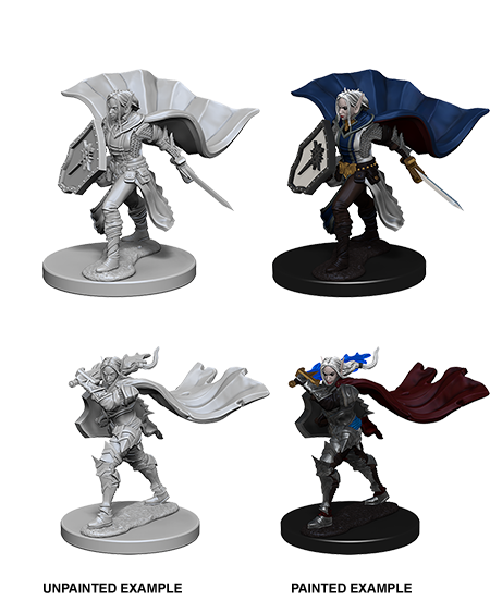 Pathfinder Deep Cuts Unpainted Miniatures: W4 Elf Female Paladin