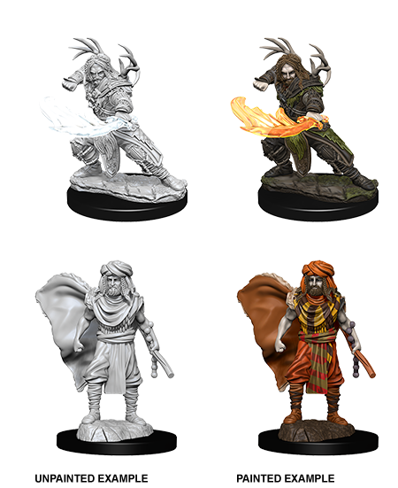 D&D Nolzur's Marvelous Unpainted Miniatures: W6 Human Male Druid