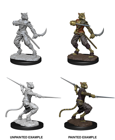 D&D Nolzur's Marvelous Unpainted Miniatures: W7 Tabaxi Male Rogue