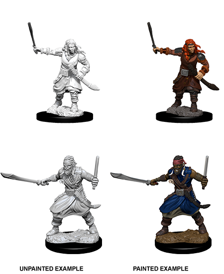 D&D Nolzur's Marvelous Unpainted Miniatures: W8 Bandits
